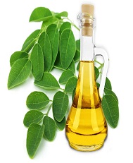 moringa-oil